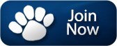 Join Now