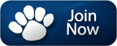 Join Now