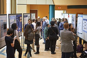 UG Learning Exhibit