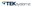 TEKsystems Color Logo